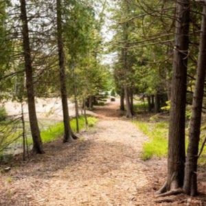 The Ridges Sanctuary Nature Center
